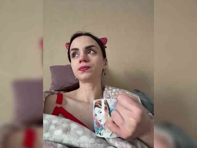 PrivateCleaner webcam