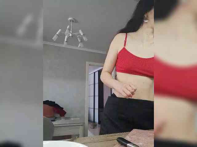 PrivateCleaner webcam