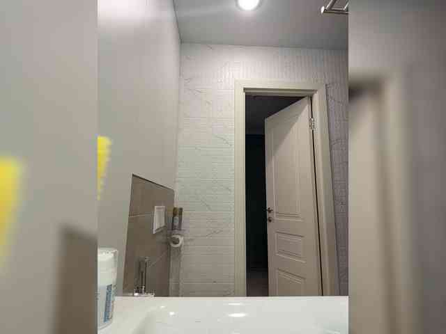 PrivateCleaner webcam