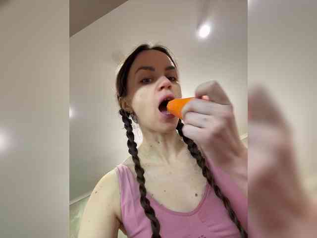 PrivateCleaner webcam