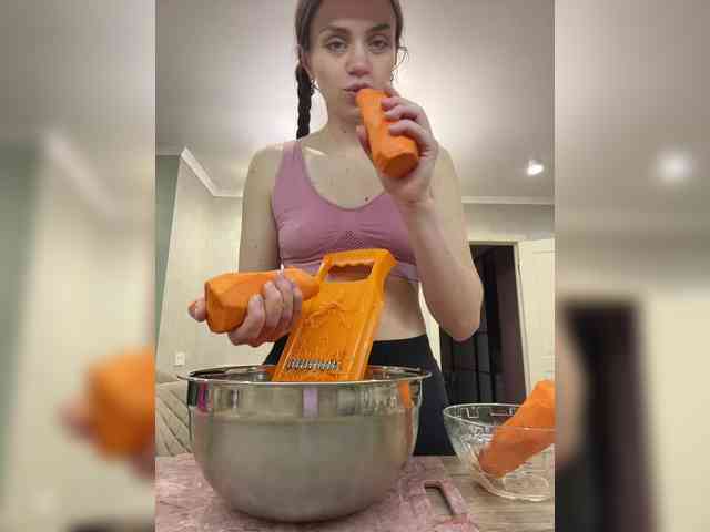 PrivateCleaner webcam