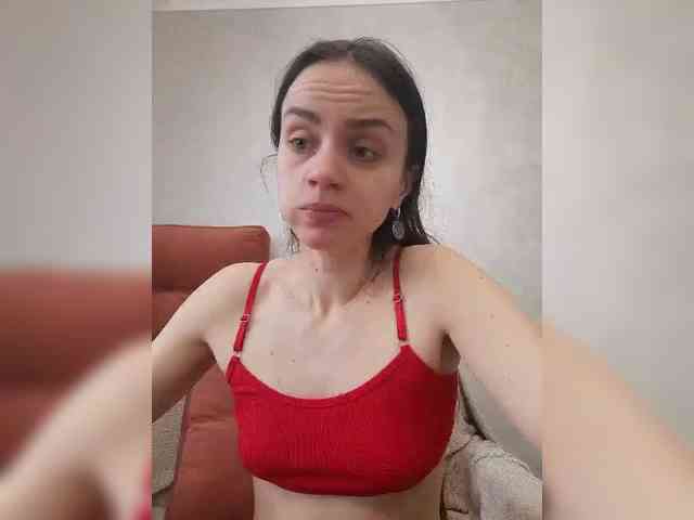 PrivateCleaner webcam