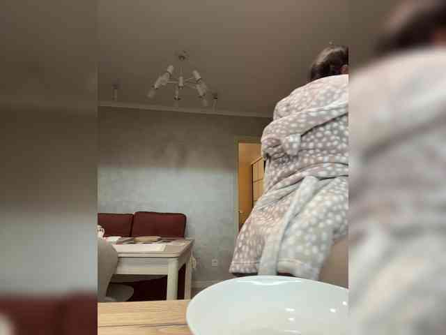 PrivateCleaner webcam