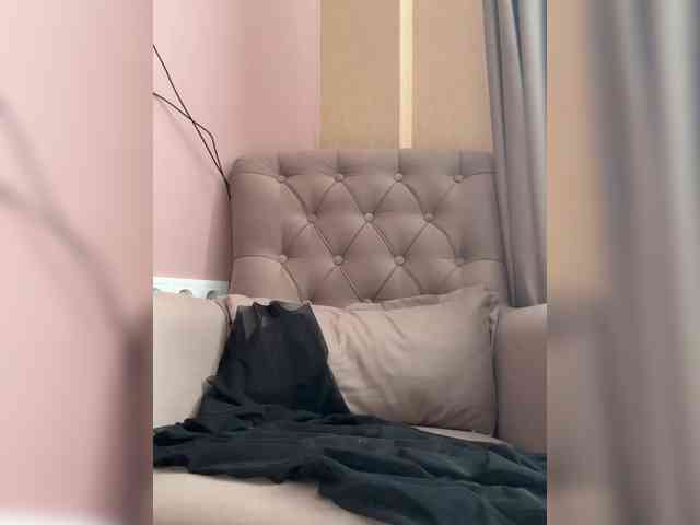 PrivateCleaner webcam