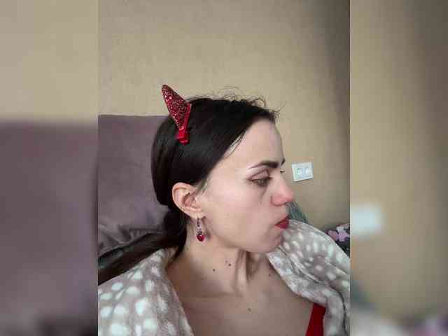 PrivateCleaner webcam