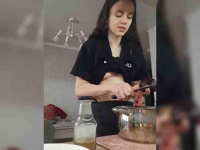 PrivateCleaner webcam