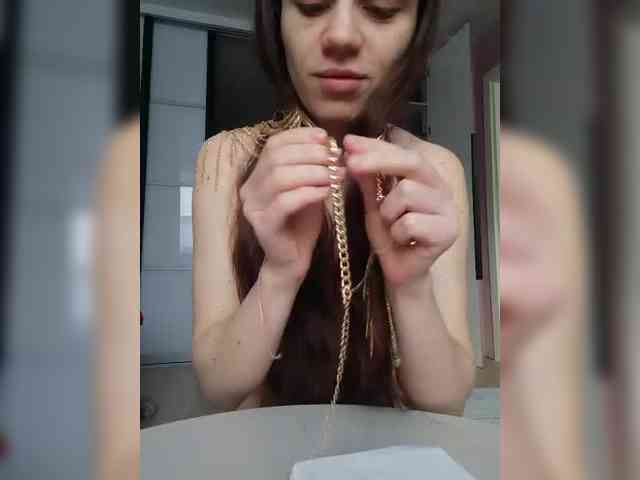 PrivateCleaner webcam