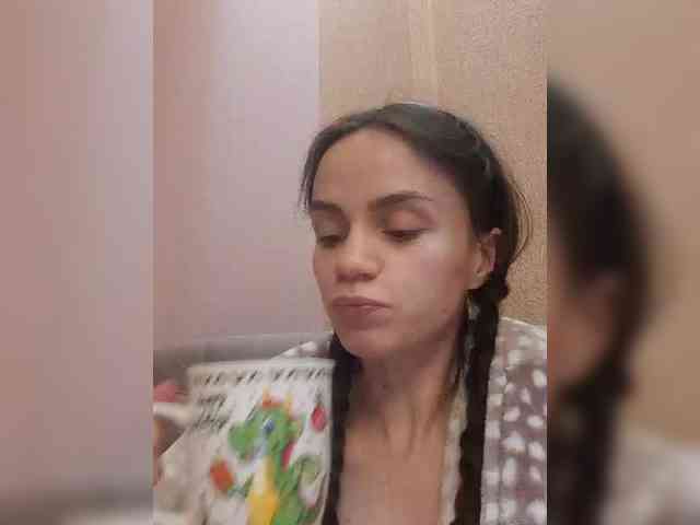 PrivateCleaner webcam