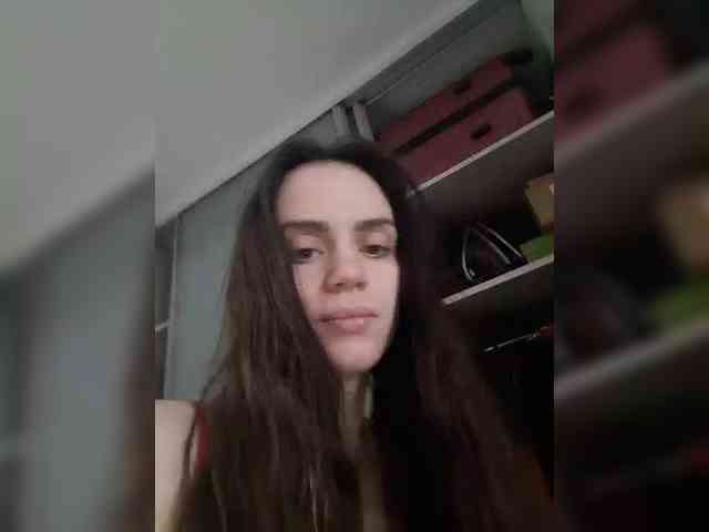 PrivateCleaner webcam