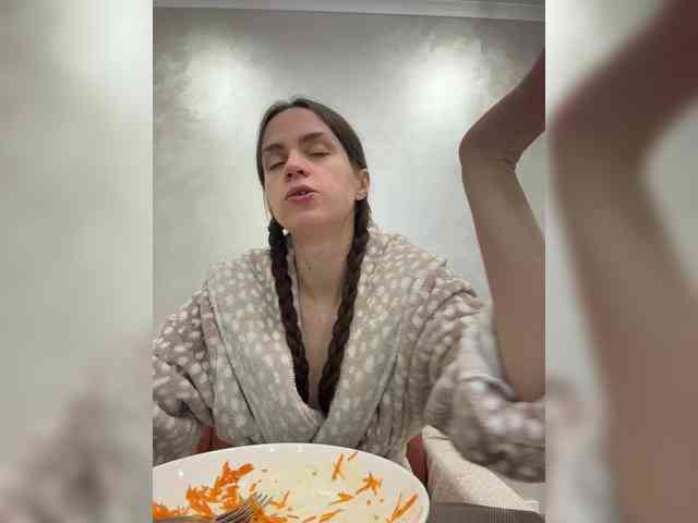 PrivateCleaner webcam