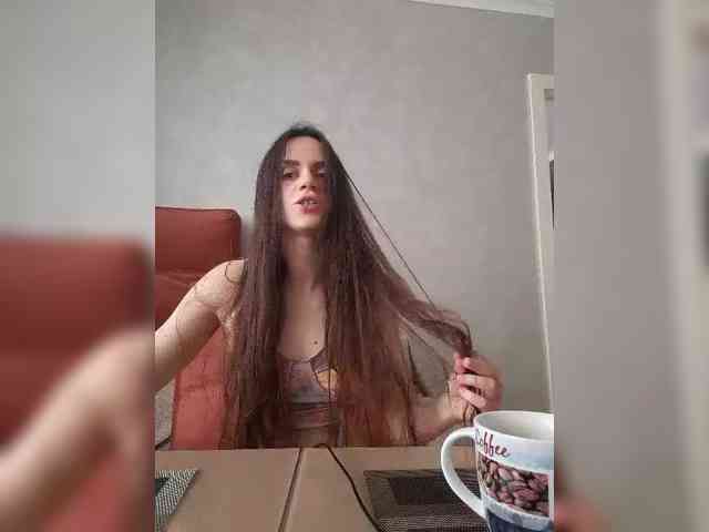 PrivateCleaner webcam