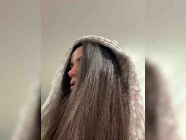 PrivateCleaner webcam