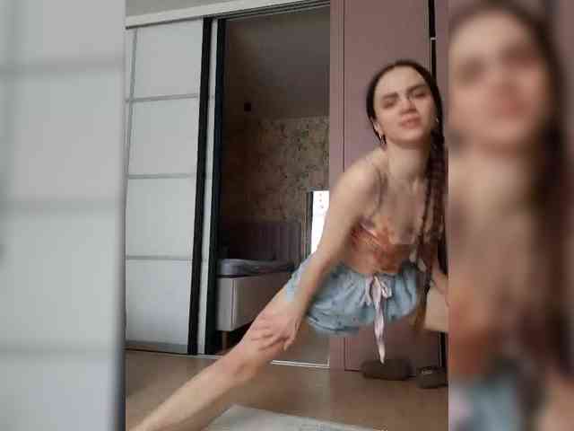 PrivateCleaner webcam