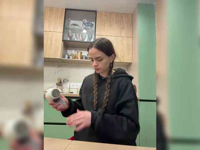 PrivateCleaner webcam