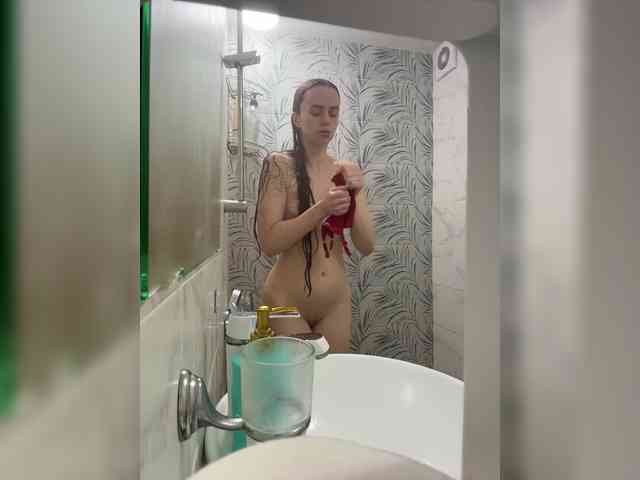 PrivateCleaner webcam