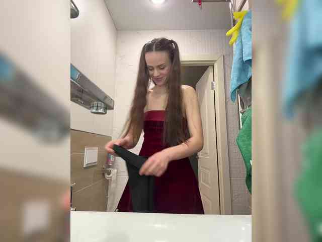 PrivateCleaner webcam