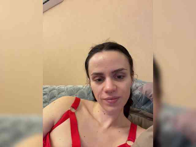 PrivateCleaner webcam