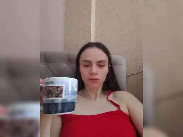 PrivateCleaner webcam