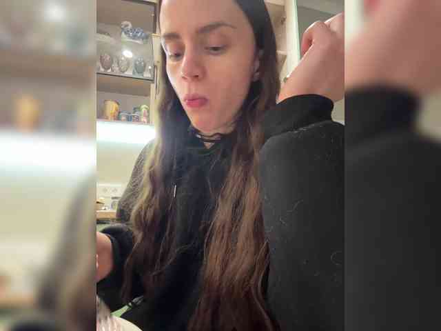 PrivateCleaner webcam