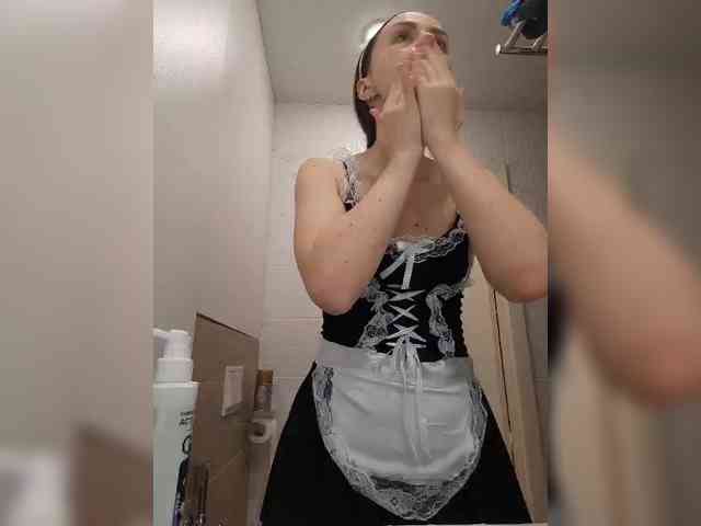 PrivateCleaner webcam