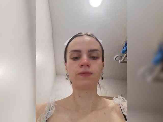 PrivateCleaner webcam