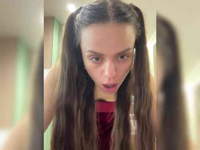 PrivateCleaner webcam