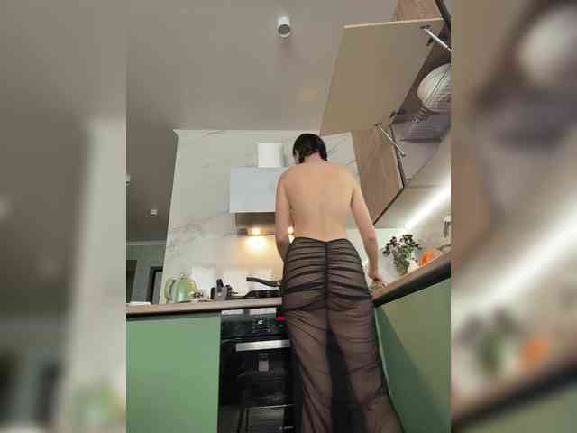 PrivateCleaner webcam