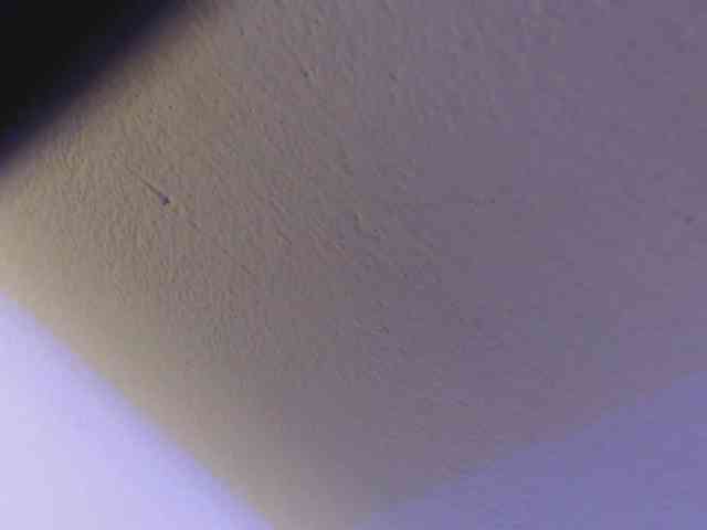 bonnieblue webcam