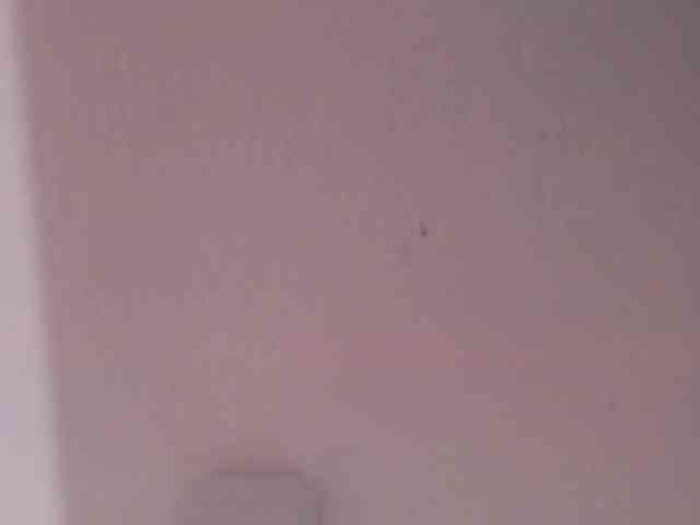 bonnieblue webcam