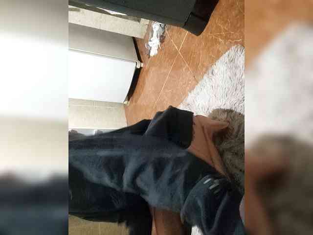 SnowAndShadow SnowAndShadow