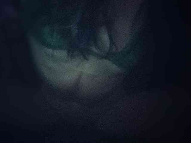 SnowAndShadow SnowAndShadow