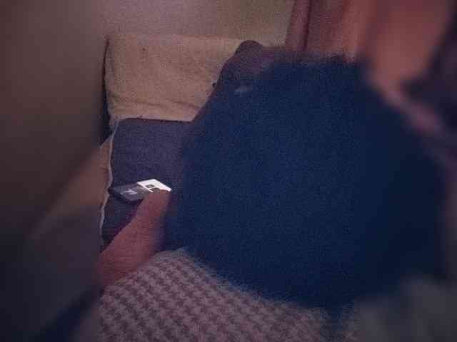 SnowAndShadow SnowAndShadow