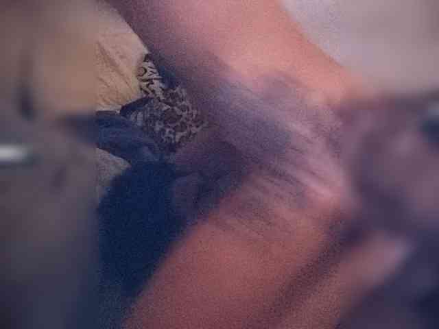 SnowAndShadow SnowAndShadow