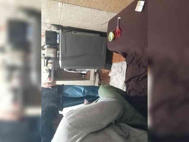 SnowAndShadow SnowAndShadow