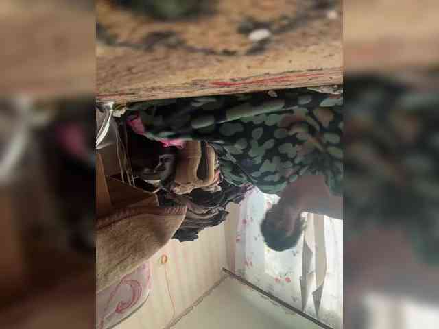 Angelinafakt1a webcam