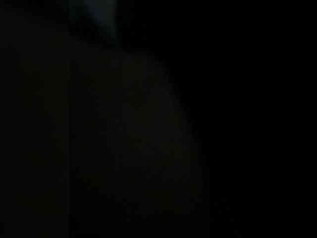 Angelinafakt1a