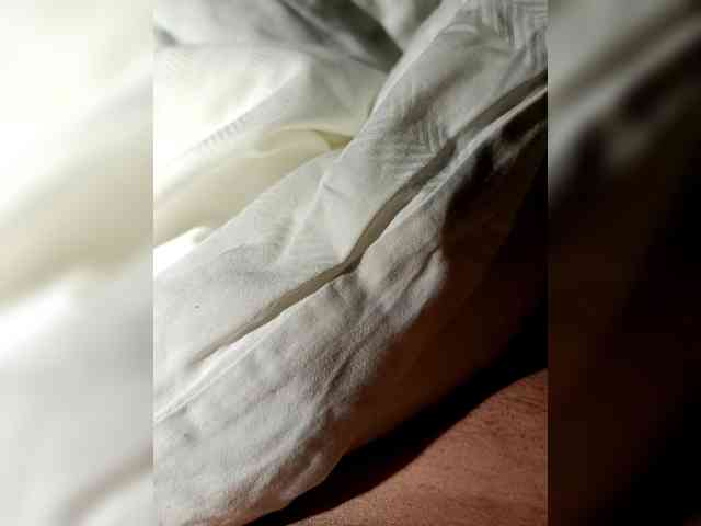 Partyyyy11 Partyyyy11