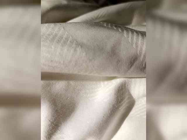 Partyyyy11 Partyyyy11