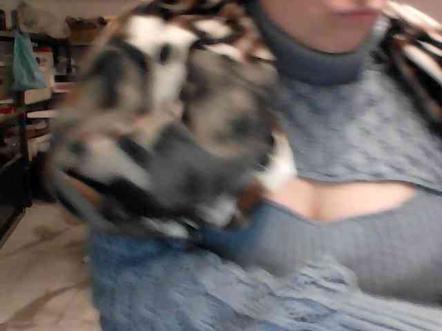 Sexcoppia2026 Sexcoppia2026