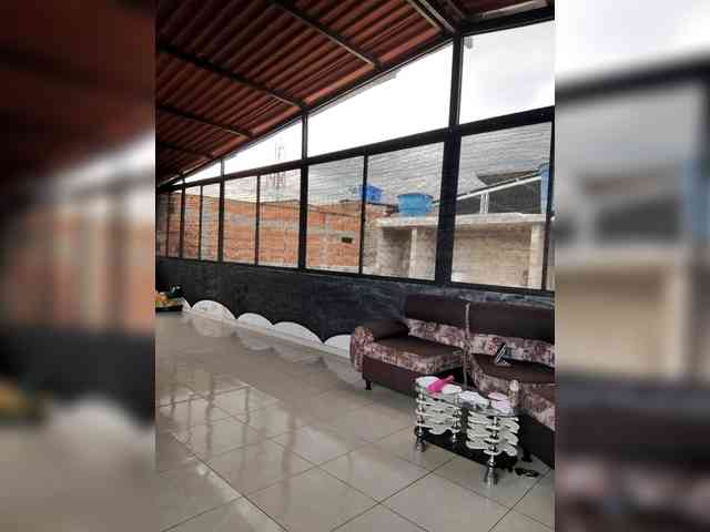 Amarantac1 Amarantac1