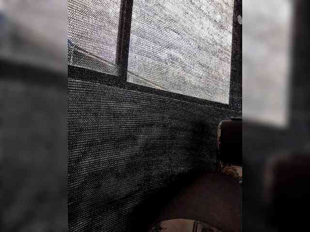 Amarantac1 Amarantac1