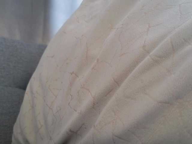 Biancka's BongaCams show and profile