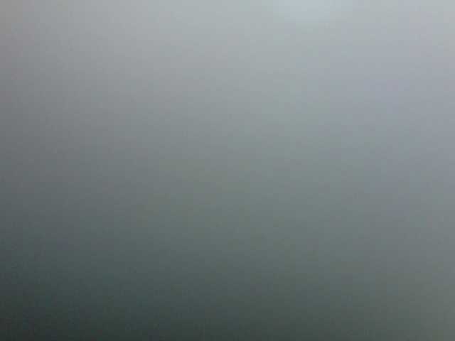 Biancka's BongaCams show and profile