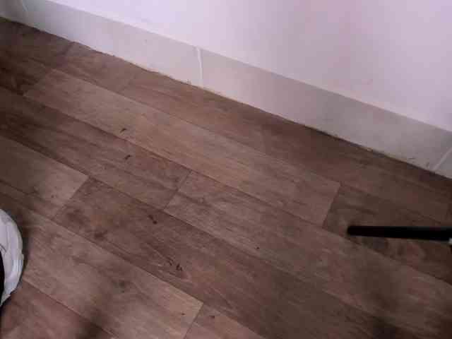 madison-shelby madison-shelby