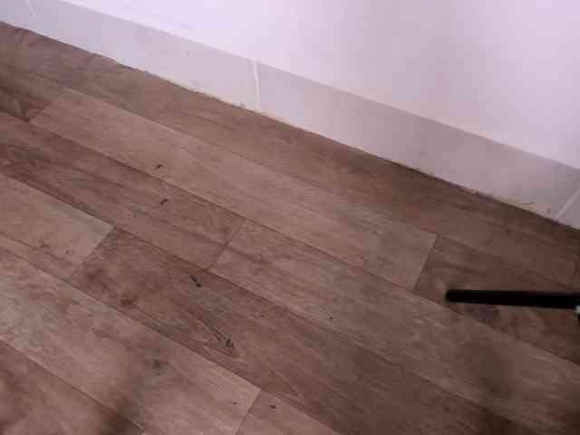 madison-shelby madison-shelby