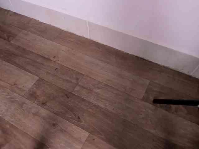 madison-shelby madison-shelby