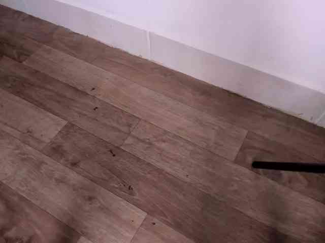 madison-shelby madison-shelby