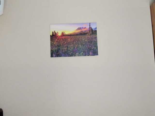 Preview of skyedavis