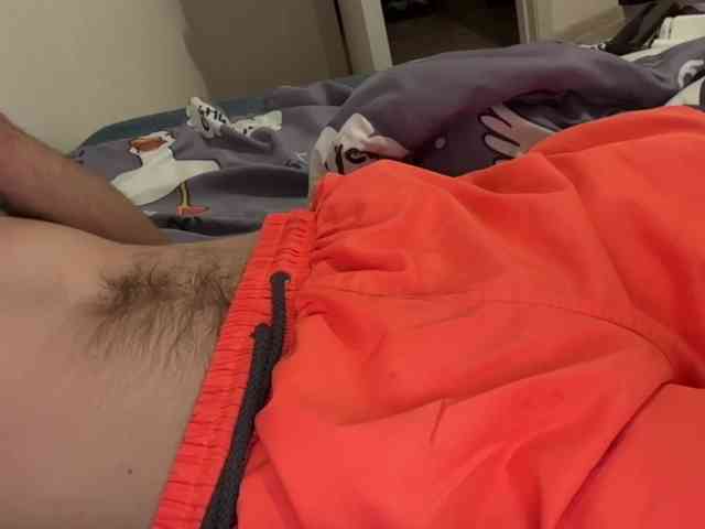 Alex2587Z1 Alex2587Z1