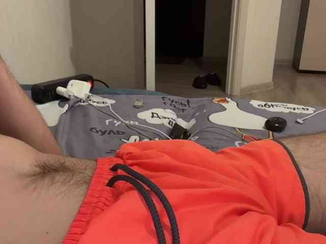 Alex2587Z1 Alex2587Z1